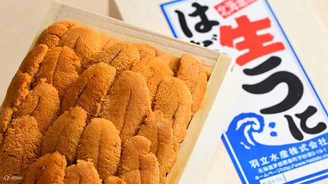 八重洲 鮨 海味 (Yaesu Sushi Umi)| 海鲜寿司 | 东京车站 | 座位预订